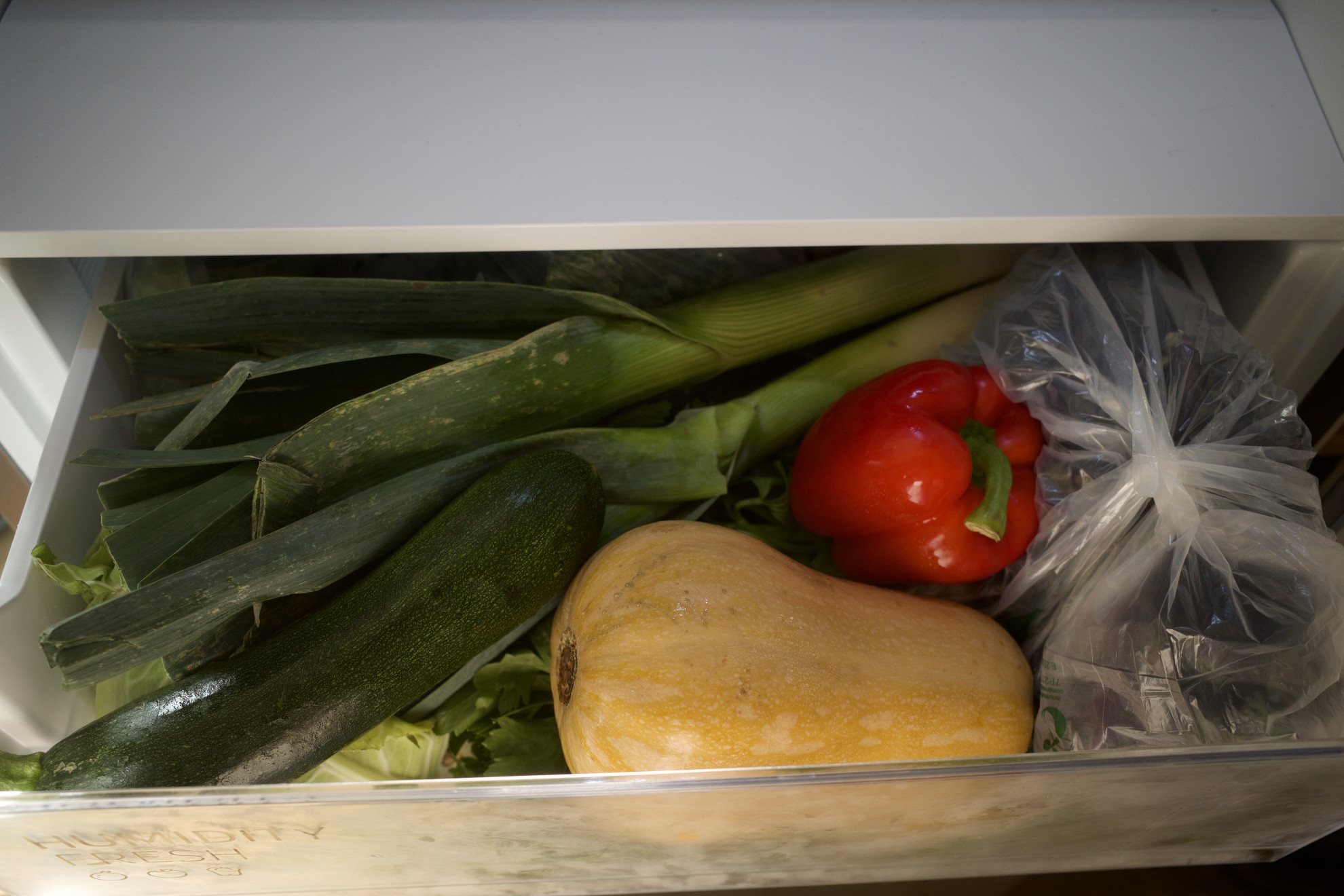 A variety of vegetables in the vegetable drawer of a fridge
